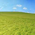 kozłek lekarski zastosowanie